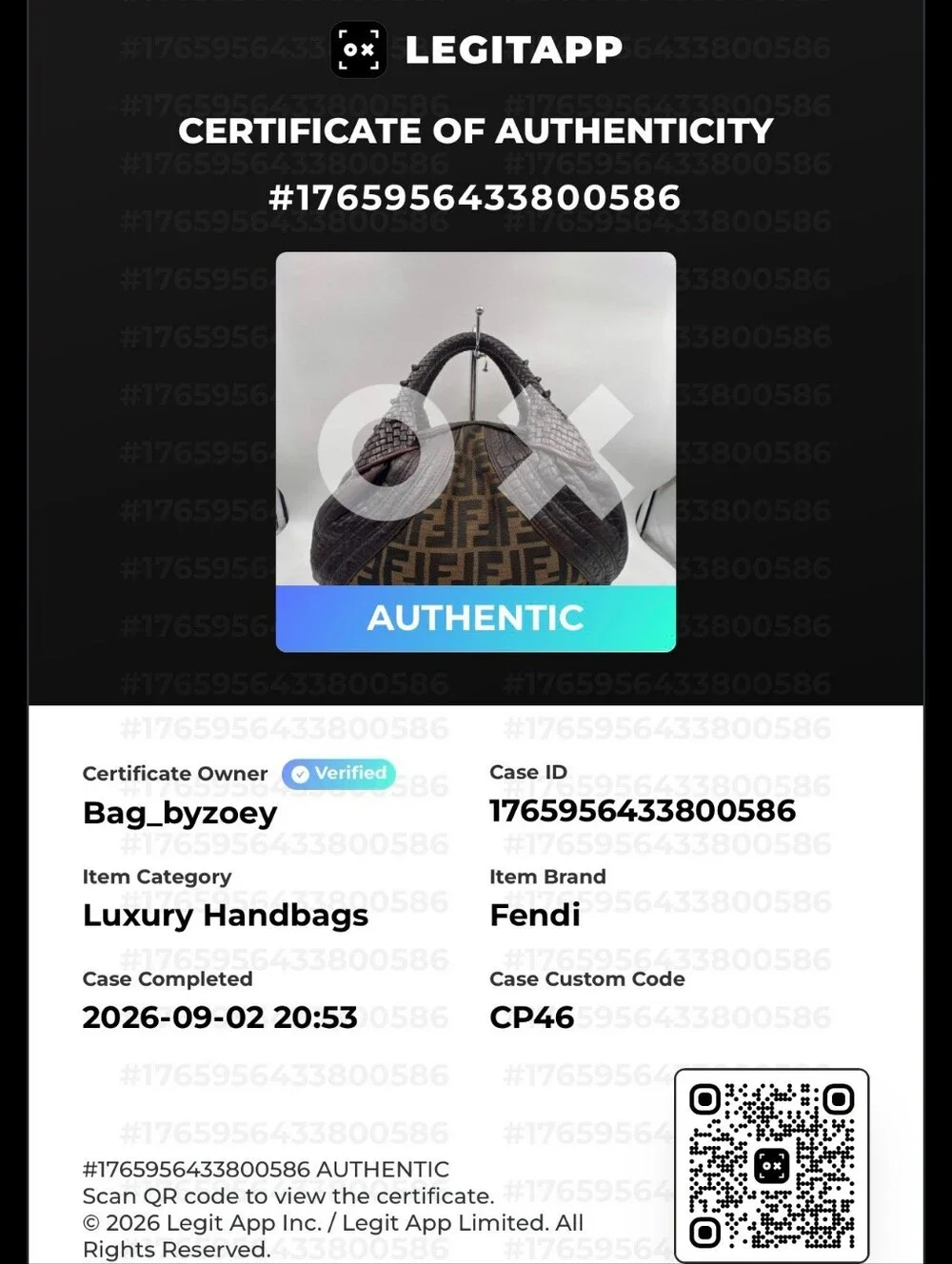CP46 💟 Fendi Zucca FF Spy Bag